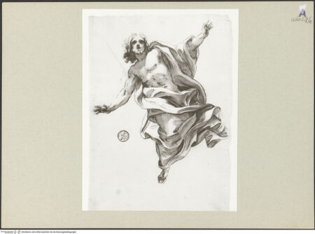 Vorderseite von bh246443_recto