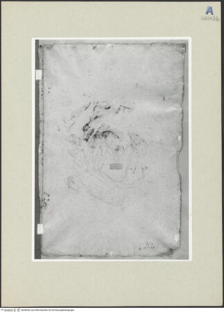 Vorderseite von bh246446_recto