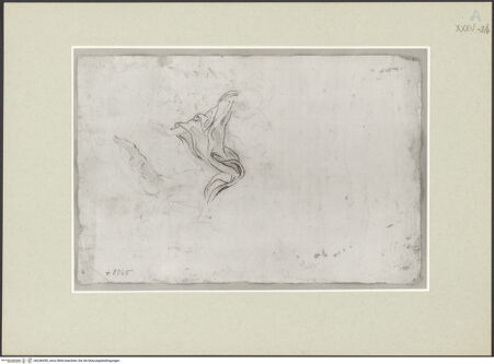 Vorderseite von bh246450_recto