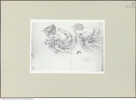 Vorderseite von bh246456_recto