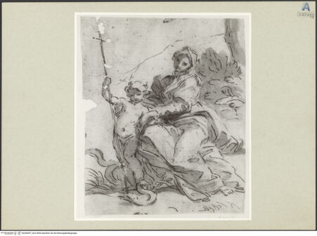 Vorderseite von bh246457_recto