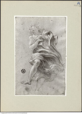 Vorderseite von bh246459_recto