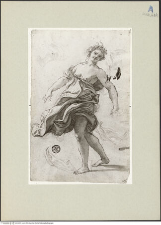 Vorderseite von bh246461_recto