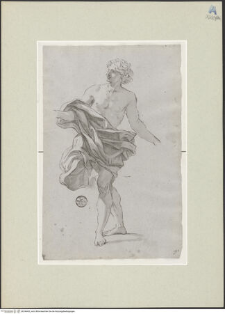 Vorderseite von bh246463_recto