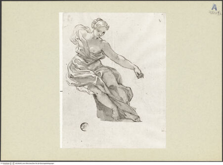 Vorderseite von bh246464_recto