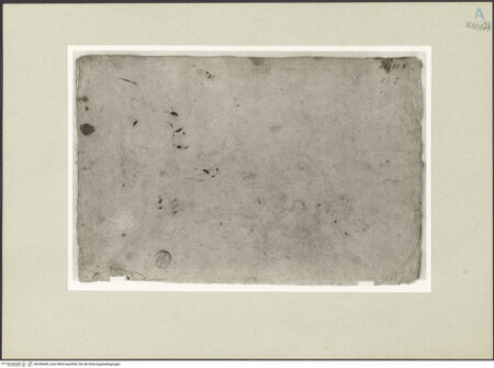 Vorderseite von bh246465_recto