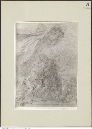 Vorderseite von bh246466_recto