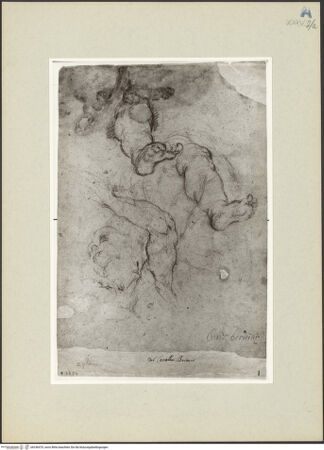 Vorderseite von bh246470_recto