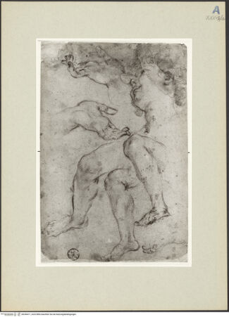 Vorderseite von bh246471_recto