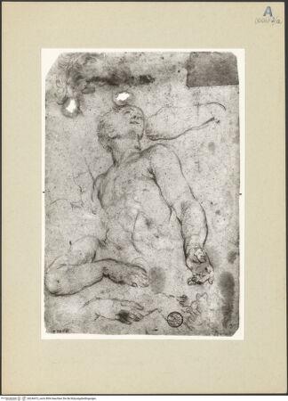 Vorderseite von bh246472_recto