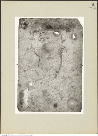 Vorderseite von bh246473_recto