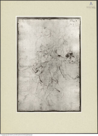 Vorderseite von bh246474_recto