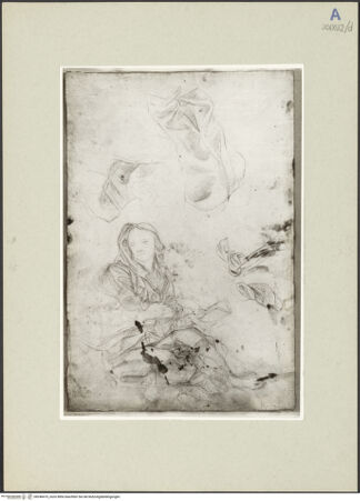 Vorderseite von bh246475_recto