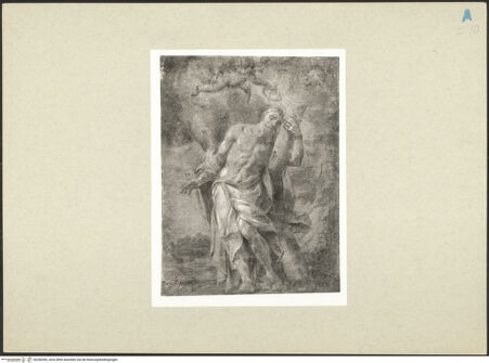 Vorderseite von bh246590_recto