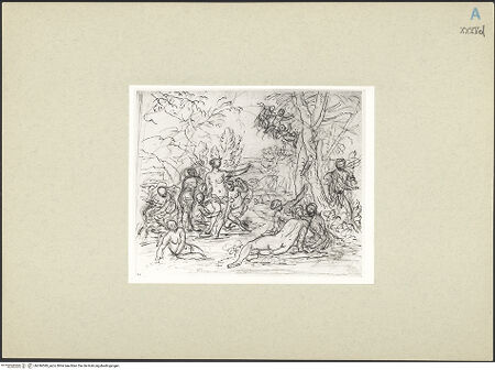 Vorderseite von bh246599_recto