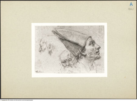 Vorderseite von bh246606_recto