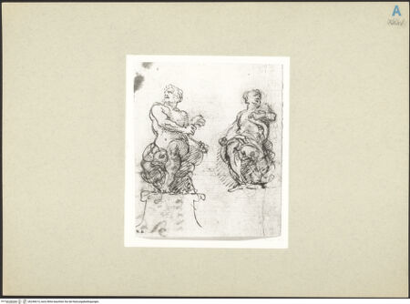 Vorderseite von bh246614_recto