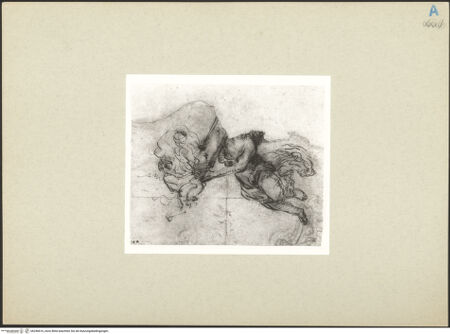 Vorderseite von bh246616_recto