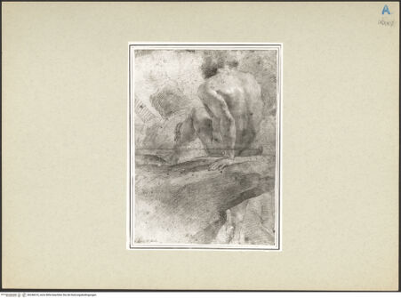 Vorderseite von bh246618_recto