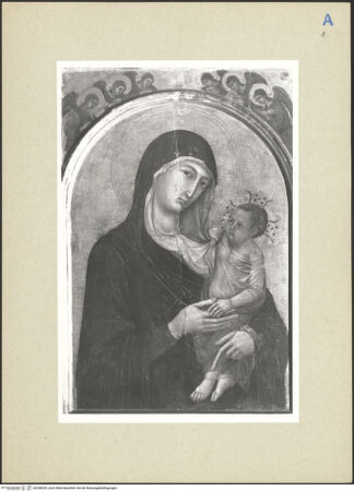 Vorderseite von bh246634_recto