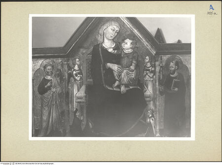 Vorderseite von bh246650_recto