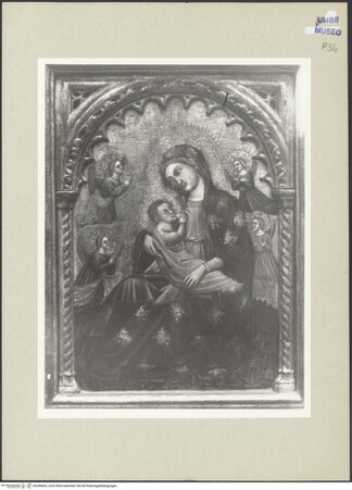 Vorderseite von bh246664_recto