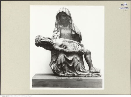 Vorderseite von bh246666_recto