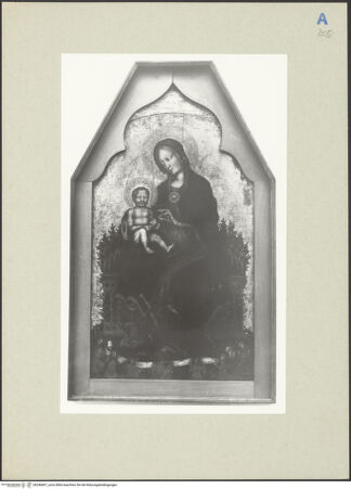 Vorderseite von bh246667_recto