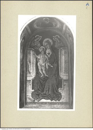 Vorderseite von bh246681_recto