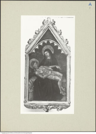 Vorderseite von bh246682_recto