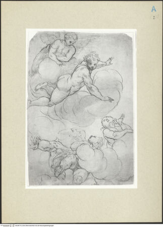 Vorderseite von bh246716_recto