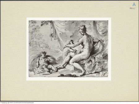 Vorderseite von bh246721_recto