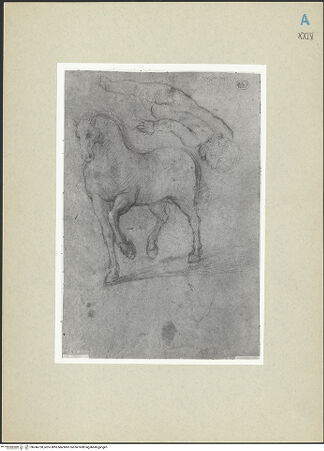 Vorderseite von bh246730_recto