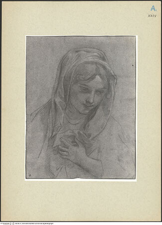 Vorderseite von bh246731_recto