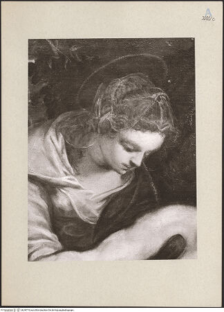 Vorderseite von bh246774_recto