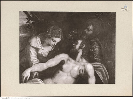 Vorderseite von bh246775_recto