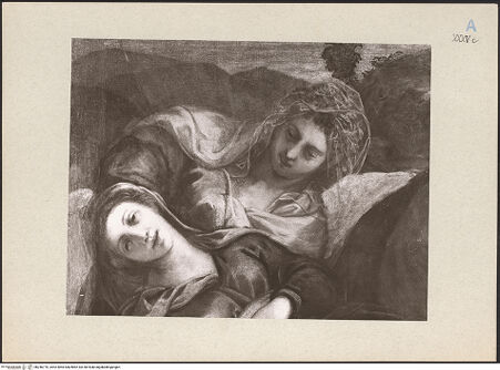 Vorderseite von bh246776_recto