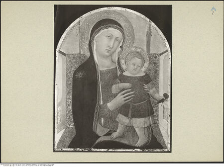 Vorderseite von bh246791_recto