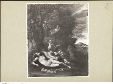 Vorderseite von bh246806_recto