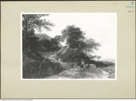 Vorderseite von bh246819_recto