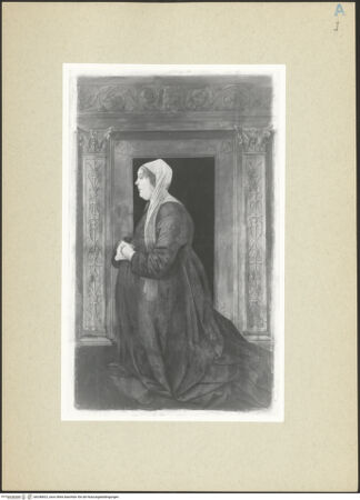 Vorderseite von bh246822_recto