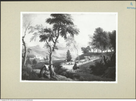 Vorderseite von bh246843_recto