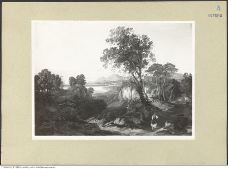 Vorderseite von bh246854_recto