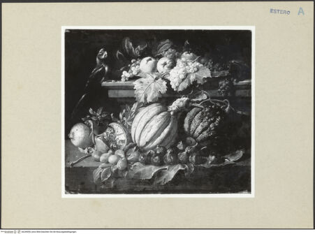 Vorderseite von bh246900_recto