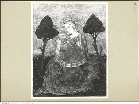 Vorderseite von bh246920_recto