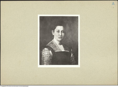 Vorderseite von bh246930_recto