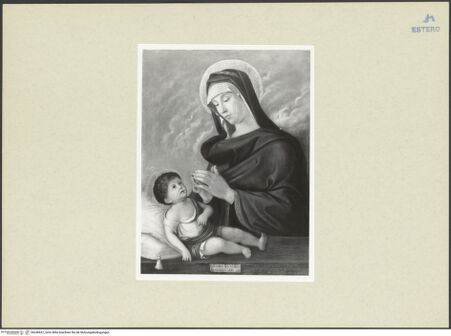 Vorderseite von bh246937_recto