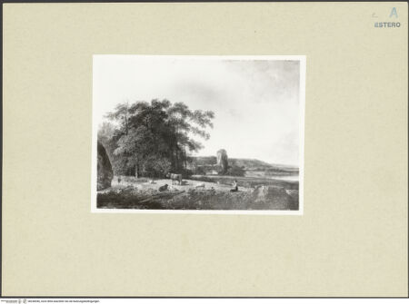 Vorderseite von bh246946_recto