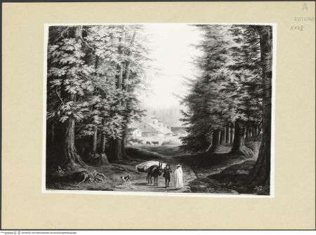 Vorderseite von bh246952_recto