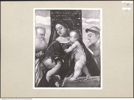 Vorderseite von bh246954_recto